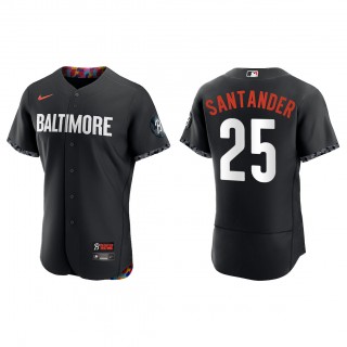 Anthony Santander Baltimore Orioles Black 2023 City Connect Authentic Jersey