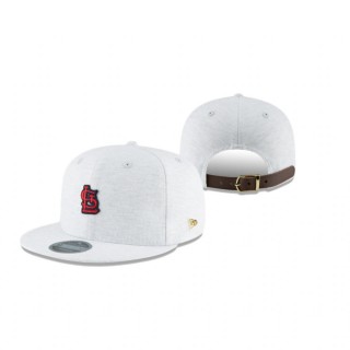 St. Louis Cardinals Gray Micro Stitch 9Fifty Snapback Hat