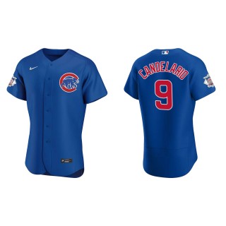 Chicago Cubs Jeimer Candelario Royal Authentic Alternate Jersey