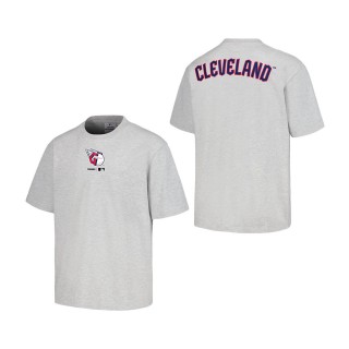 Cleveland Guardians PLEASURES Gray Mascot T-Shirt