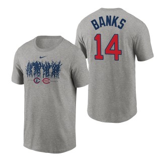 Men's Chicago Cubs Ernie Banks Gray 2022 Field of Dreams Cornfield Matchup T-Shirt