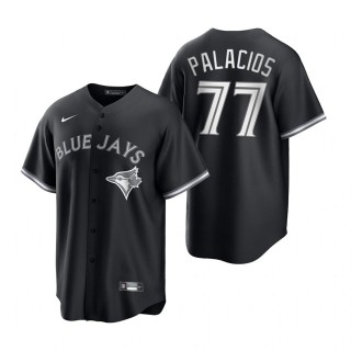 Blue Jays Joshua Palacios Nike Black White Replica Jersey