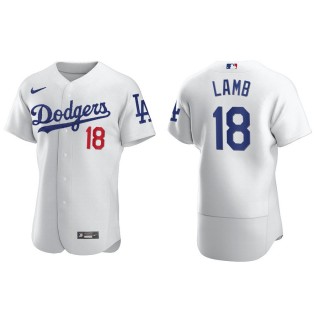 Men's Dodgers Jake Lamb White Authentic Home Jersey