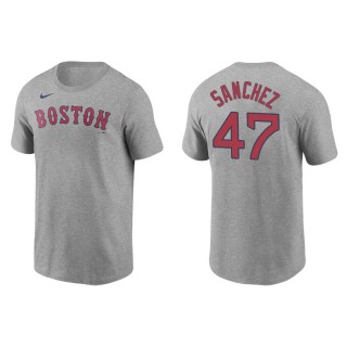 Men's Red Sox Yolmer Sanchez Gray Name & Number Nike T-Shirt