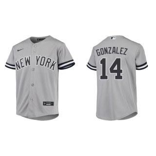 Youth Yankees Marwin Gonzalez Gray Jersey