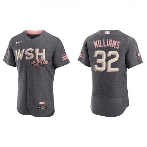 Trevor Williams Men's Washington Nationals Nike Gray City Connect Authentic Jersey