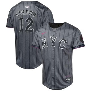 Youth New York Mets Francisco Lindor Graphite 2024 City Connect Limited Player Jersey